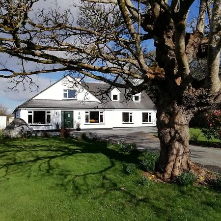 Mountain View Guesthouse Oughterard Exteriör bild