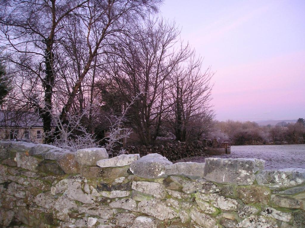 Mountain View Guesthouse Oughterard Exteriör bild